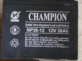 冠军蓄电池NP38-12